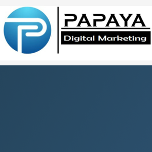 Papaya Digital Consult logo
