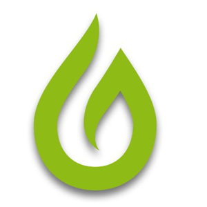 PepperMint Talents GmbH logo
