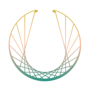 The Social Collective logo