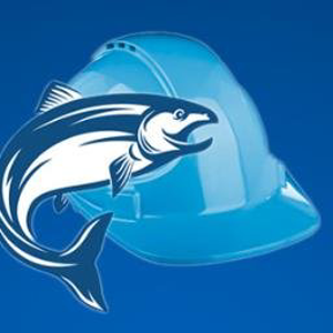 Salmon Bay Construction, LLC logo