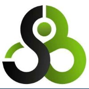 SBI Tax &amp; Financial Services, Inc logo