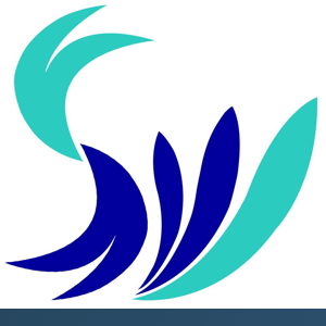 Softweb Development Technologies logo
