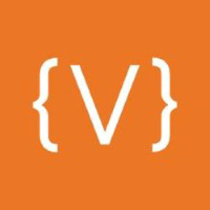 Vivid Image logo