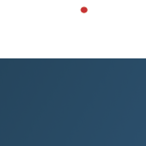 Estifo Chartered Accountants and Advisors logo