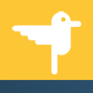 6irdview logo
