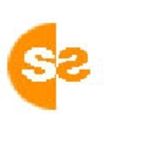 Synergy Systech LLC logo