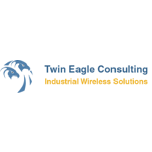 Twin Eagle Consulting LLC logo