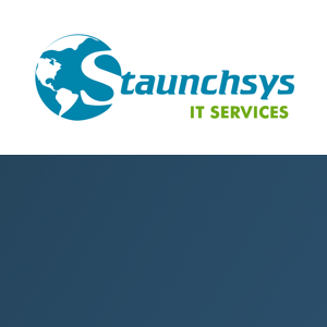 Staunchsys IT Services Pvt. Ltd. logo